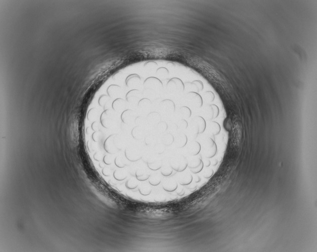 X0000111450638200908241206