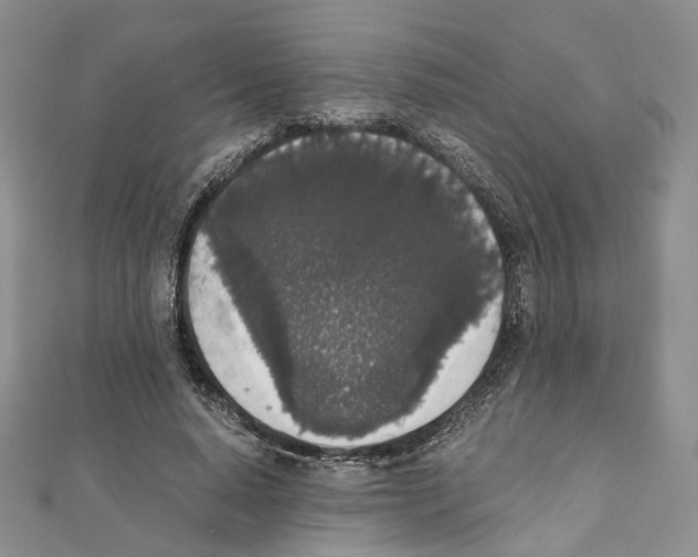 X0000111450640200908241206