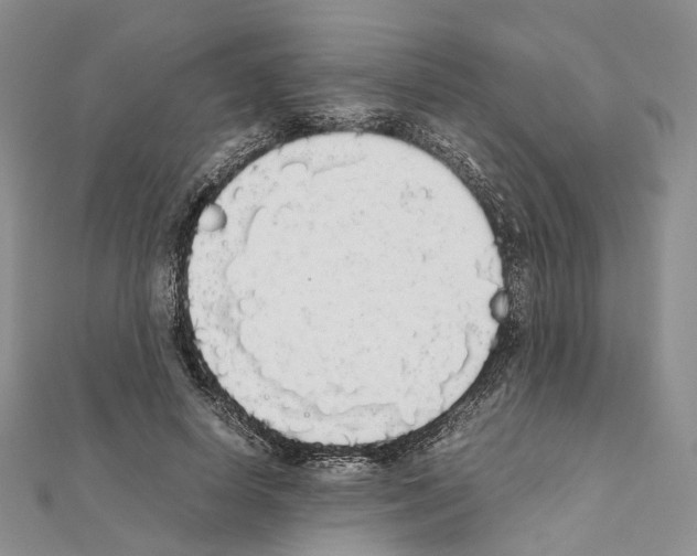 X0000111450642200908241206