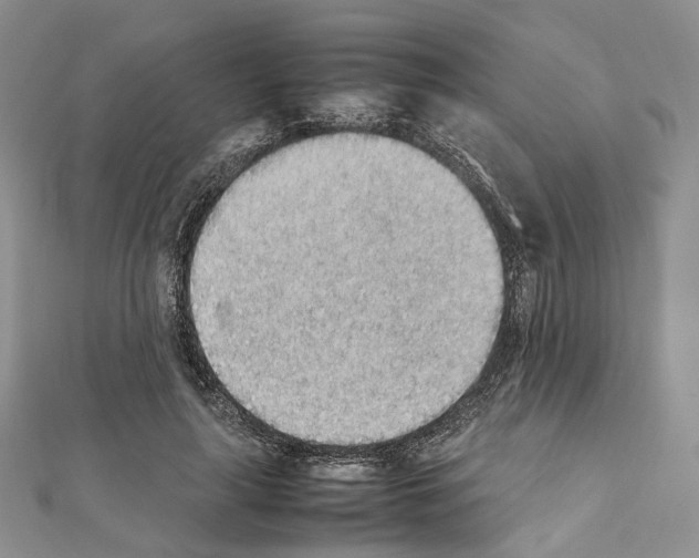 X0000111450643200908241206