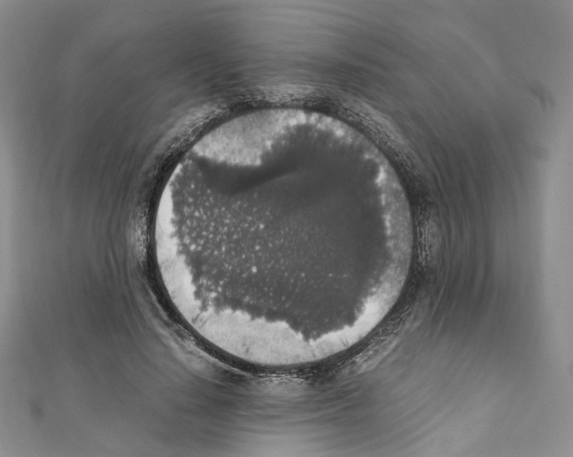 X0000111450644200908241206