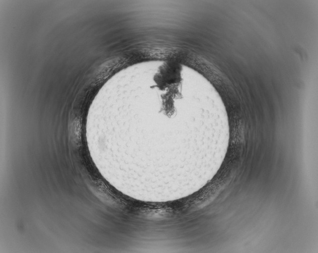 X0000111450646200908241206