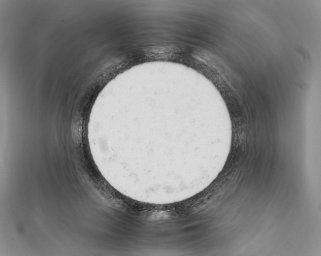 X0000111450647200908241206