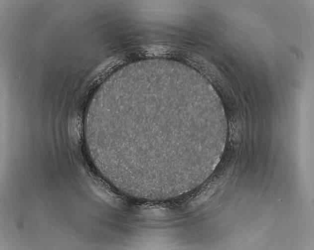 X0000111450648200908241207