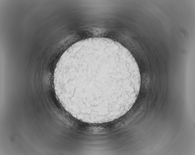 X0000111450650200908241207