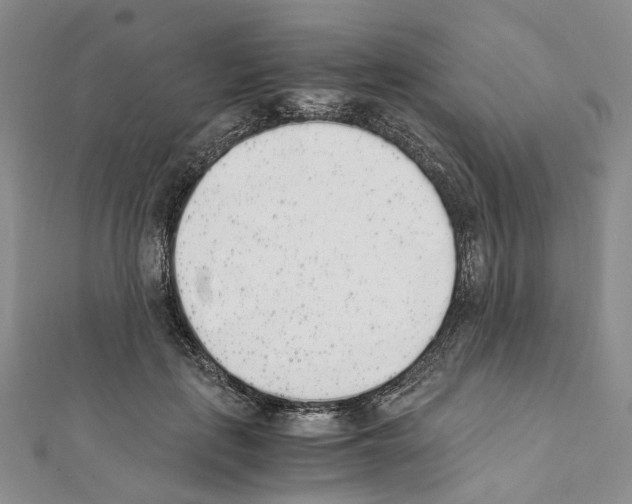 X0000111450651200908241207