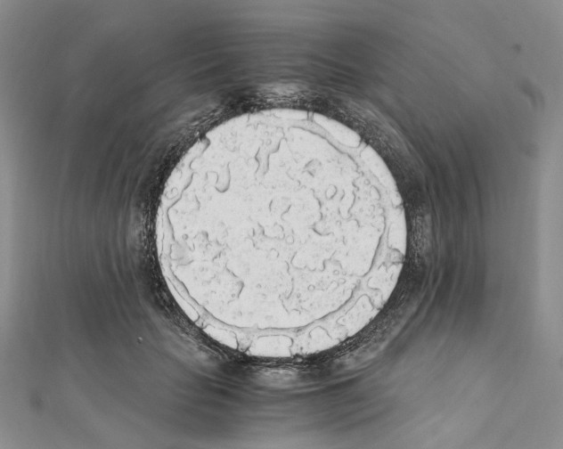 X0000111450653200908241207