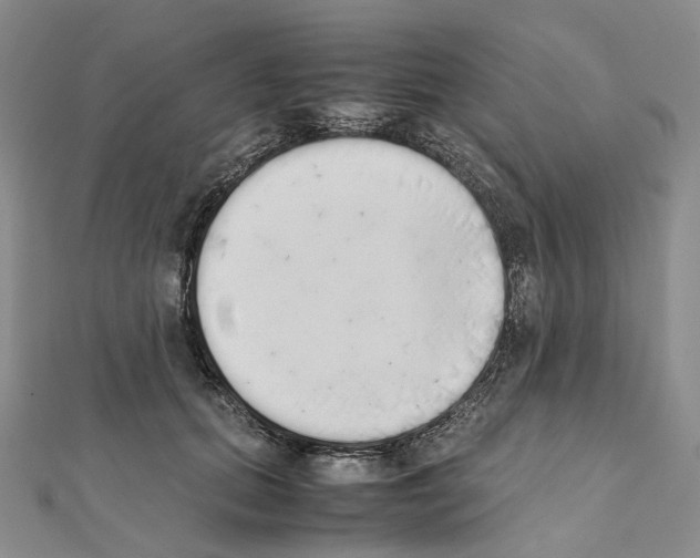 X0000111450655200908241207