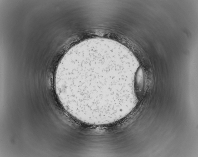 X0000111450656200908241207