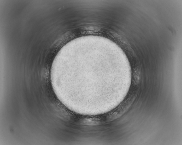 X0000111450657200908241207