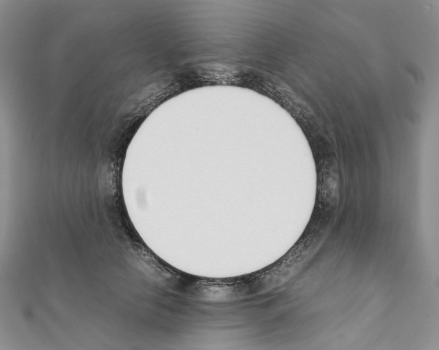 X0000111450658200908241207
