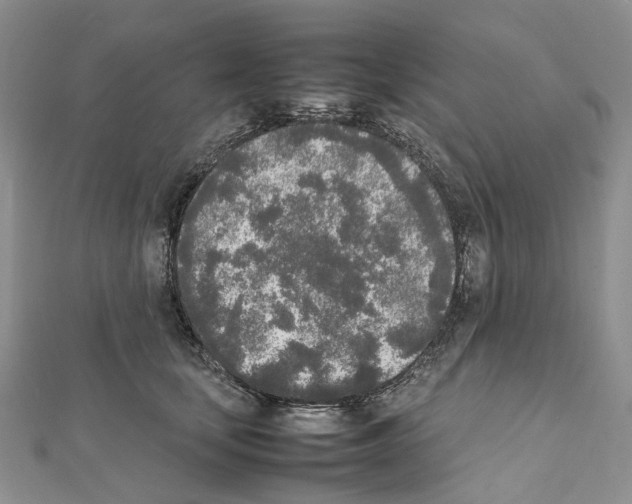 X0000111450659200908241207
