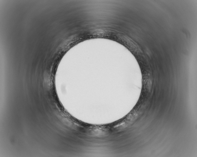 X0000111450660200908241207