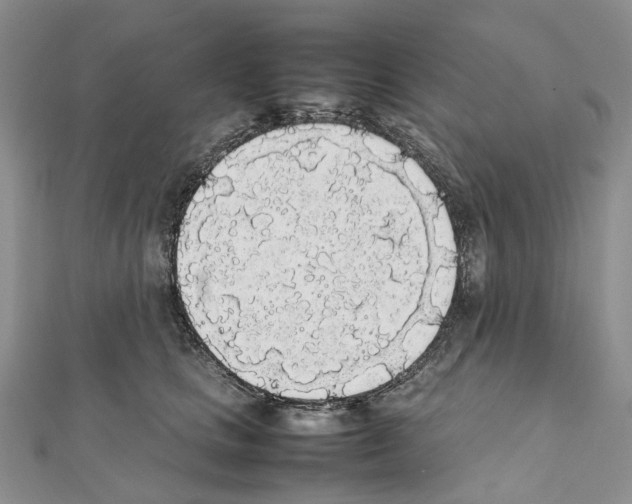 X0000111450661200908241207