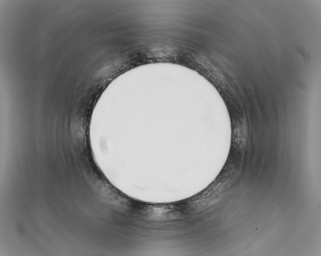 X0000111450662200908241207