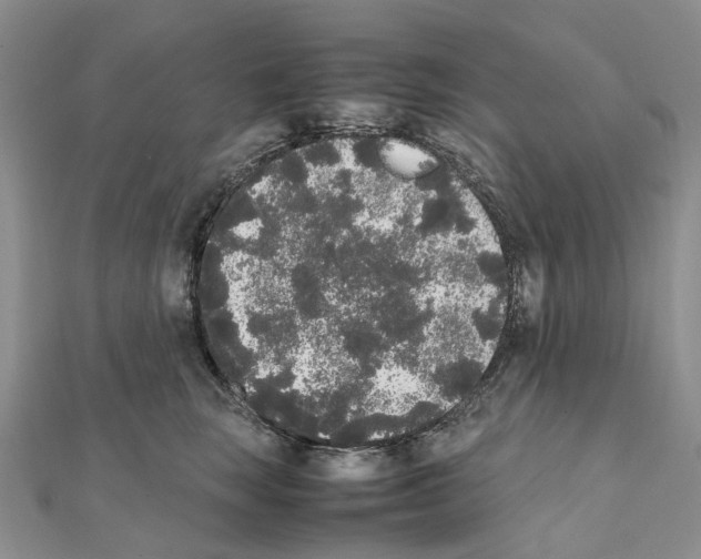 X0000111450663200908241207
