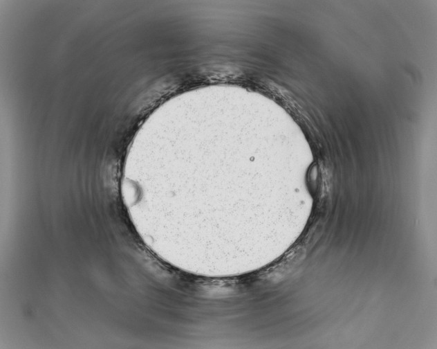 X0000111450664200908241207