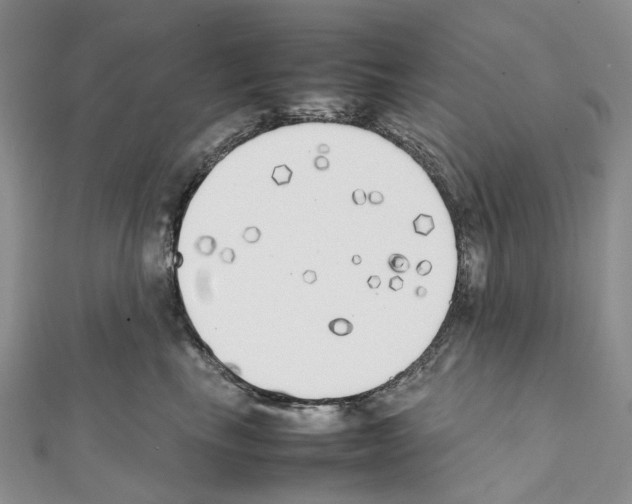X0000111450665200908241207