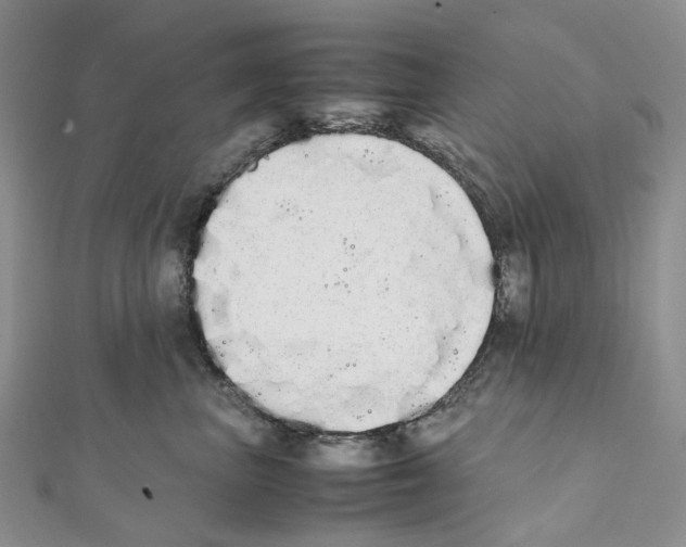 X0000111450667200908241207