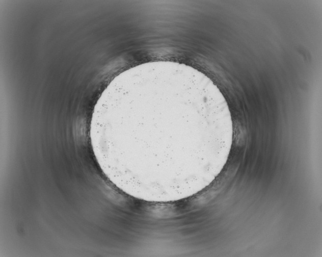 X0000111450670200908241207
