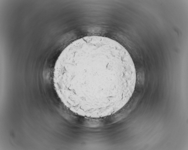 X0000111450671200908241207