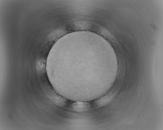 X0000111450672200908241207