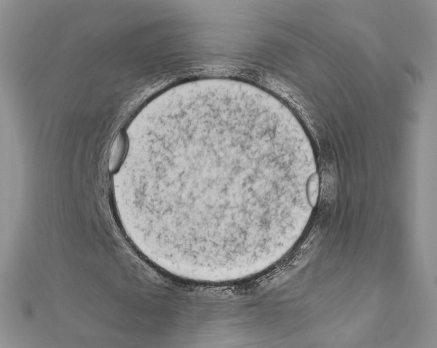 X0000111450673200908241206