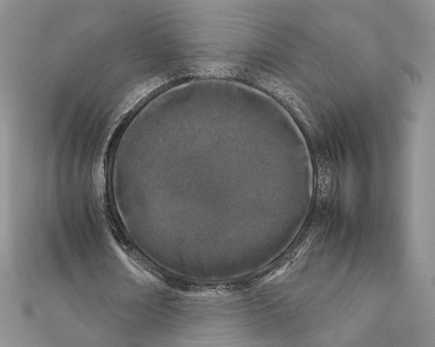 X0000111450674200908241206