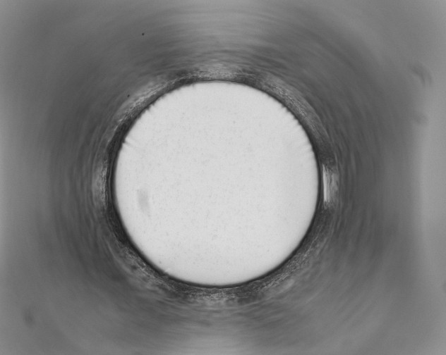 X0000111450675200908241206