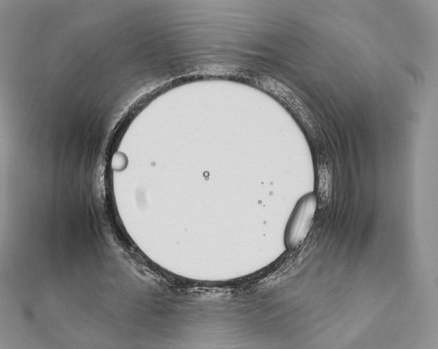 X0000111450676200908241206