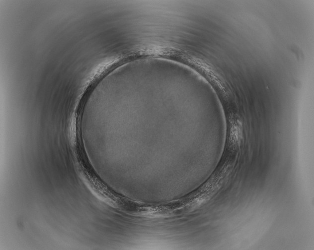 X0000111450678200908241206