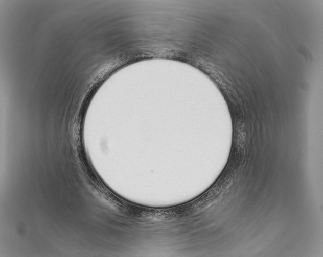 X0000111450679200908241206