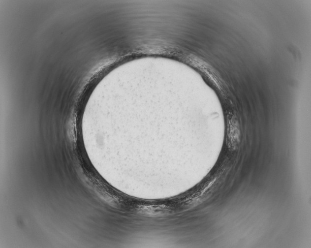 X0000111450680200908241206