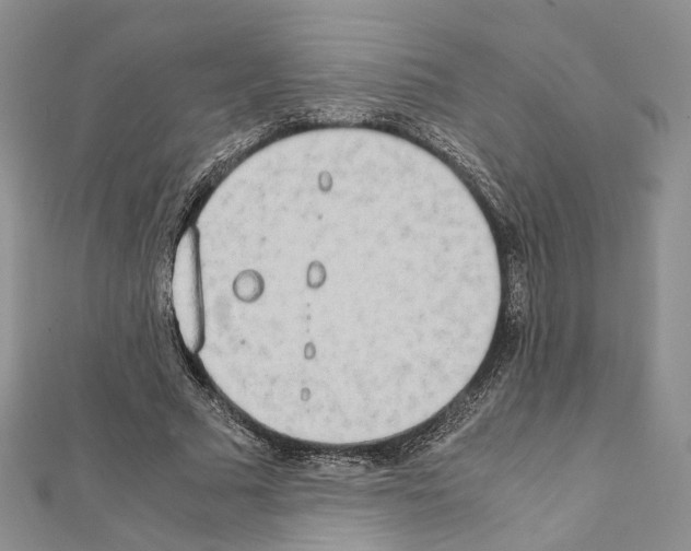 X0000111450681200908241206