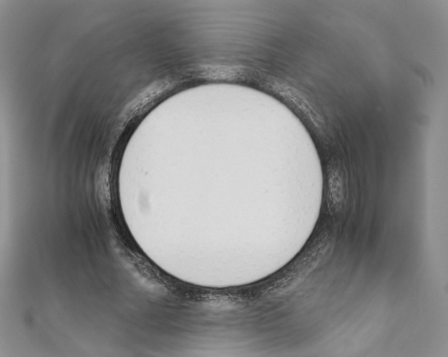 X0000111450682200908241206