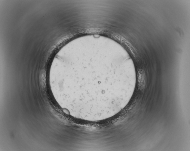 X0000111450684200908241206