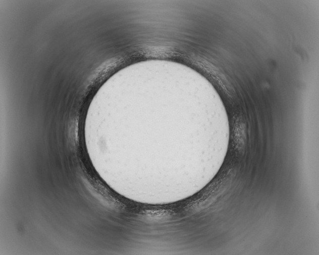 X0000111450686200908241206
