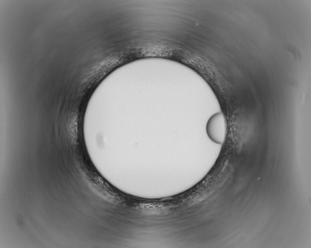 X0000111450690200908241206