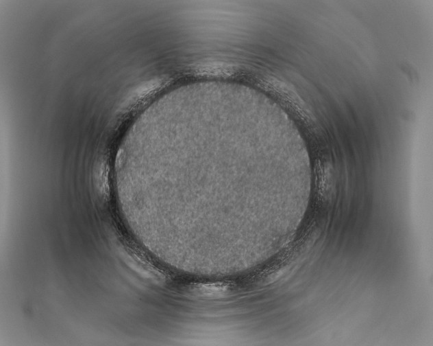 X0000111450692200908241206