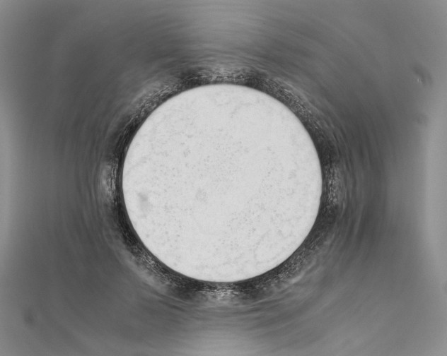 X0000111450695200908241206
