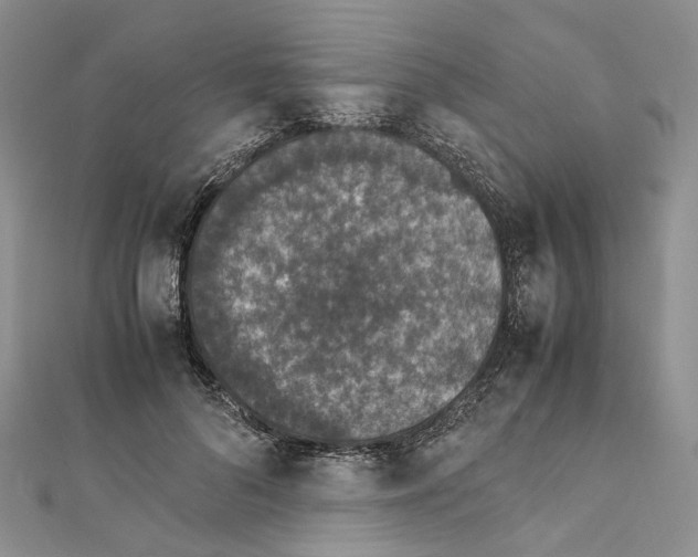 X0000111450696200908241206