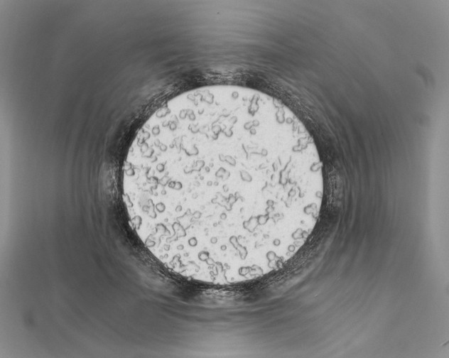 X0000111450699200908241206