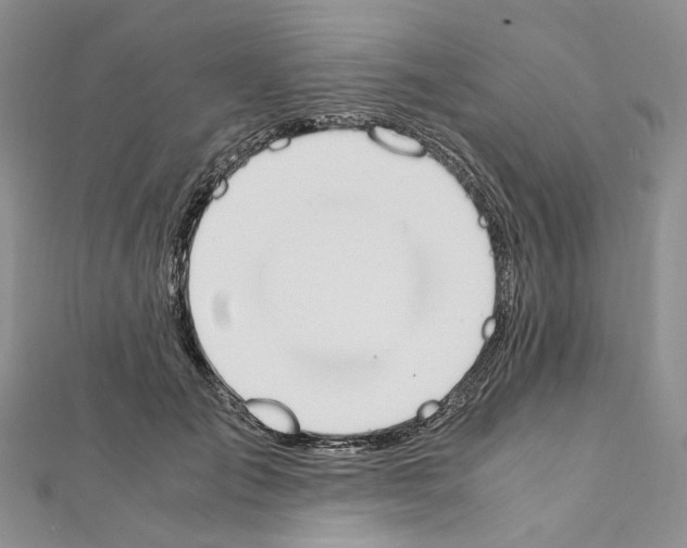 X0000111450701200908241206