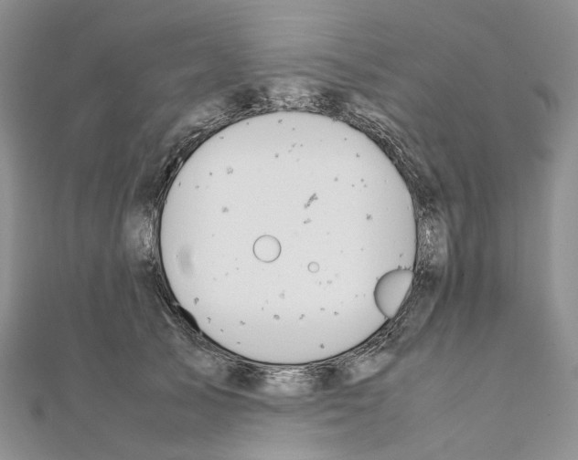 X0000111450705200908241206