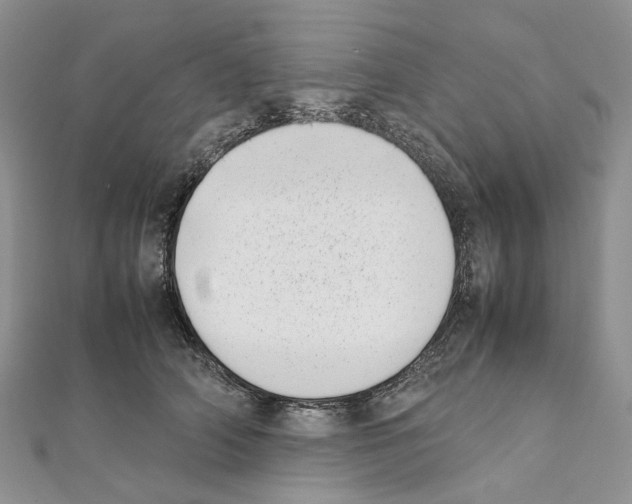X0000111450706200908241206