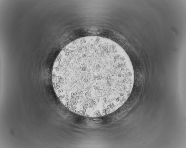 X0000111450707200908241206