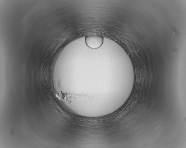 X0000111450708200908241206