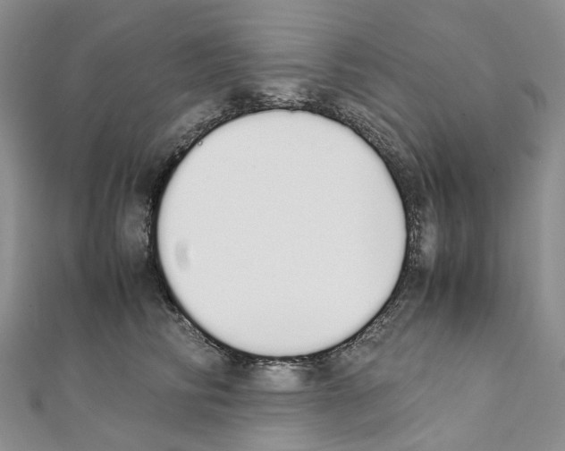 X0000111450710200908241206