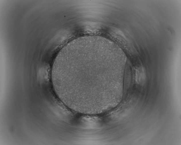 X0000111450712200908241206