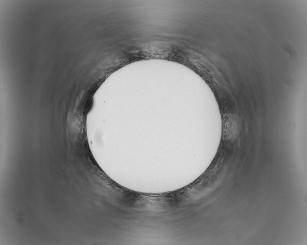 X0000111450713200908241206